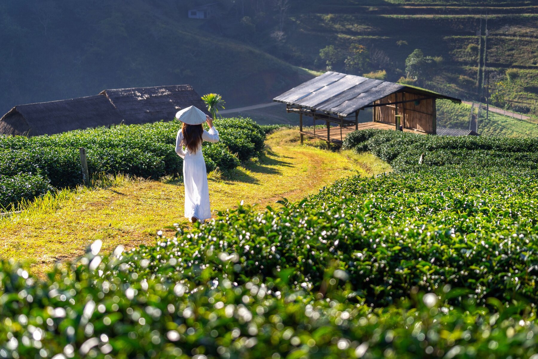 Tea Trails and Scenic Tales , A Day Adventure to Haputale from Little Rose Inn