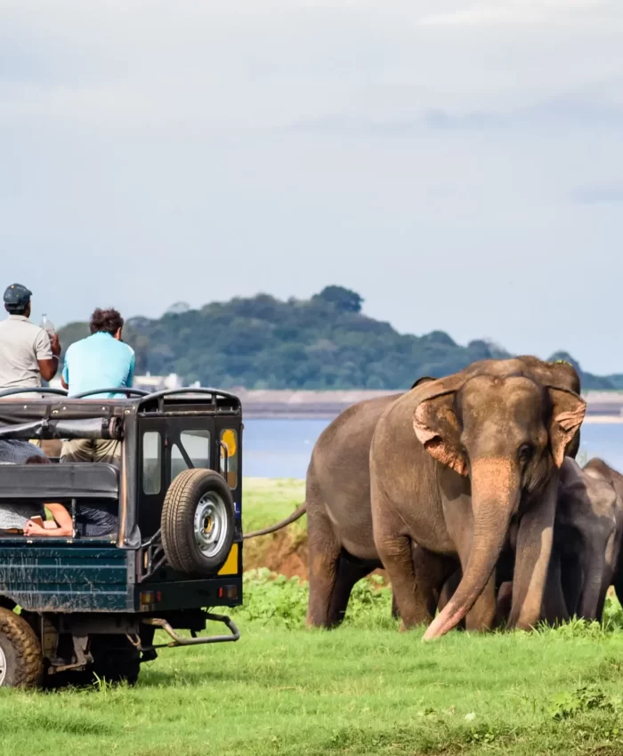 Udawalawe National Park
